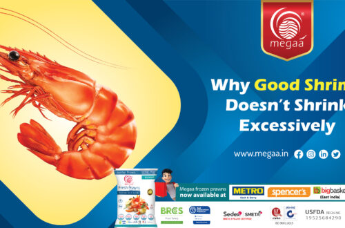 Why Good Shrimp Doesn’t Shrink Excessively