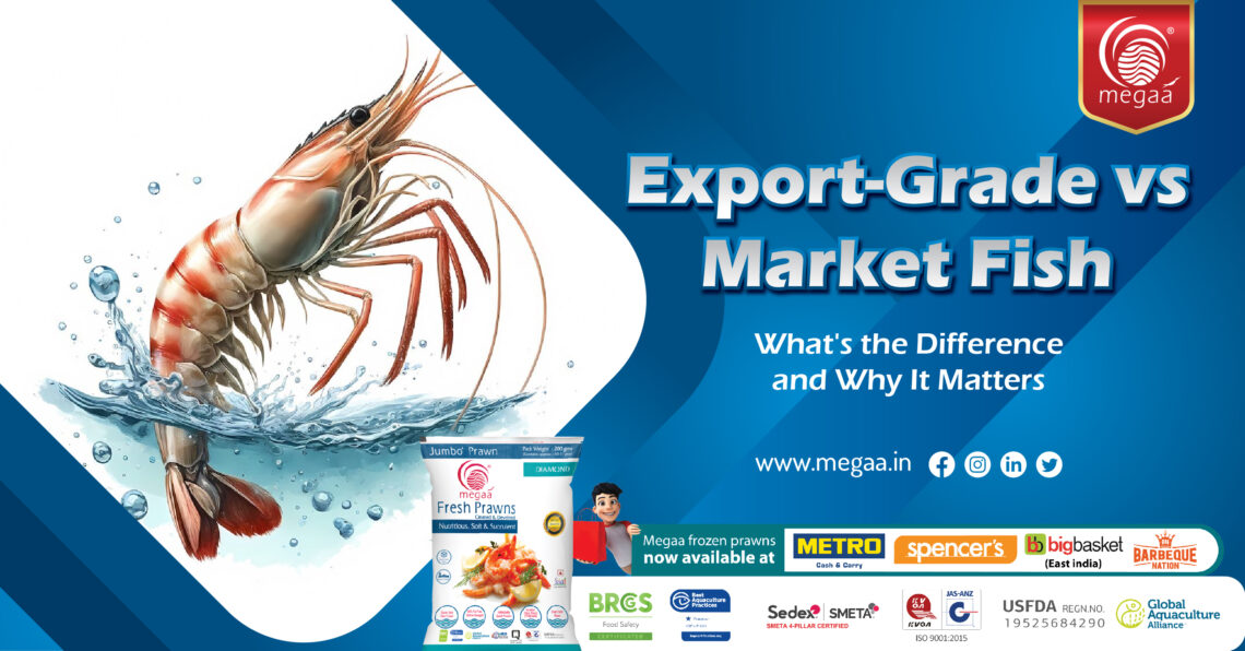 Export-Grade vs Market Fish: What's the Difference and Why It Matters