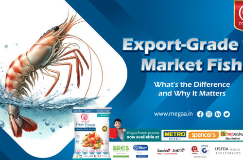 Export-Grade vs Market Fish: What's the Difference and Why It Matters