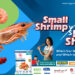 Small Shrimp vs Large Shrimp: Which Size Works Best for Curry and Which for Starters?